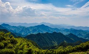 智能洗碗机行业市场分析报告2024：清洗、节能环保、智能化成行业三大亮点(图5)