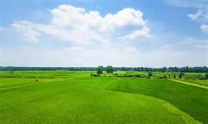 智能洗碗机行业市场分析报告2024：清洗、节能环保、智能化成行业三大亮点(图2)