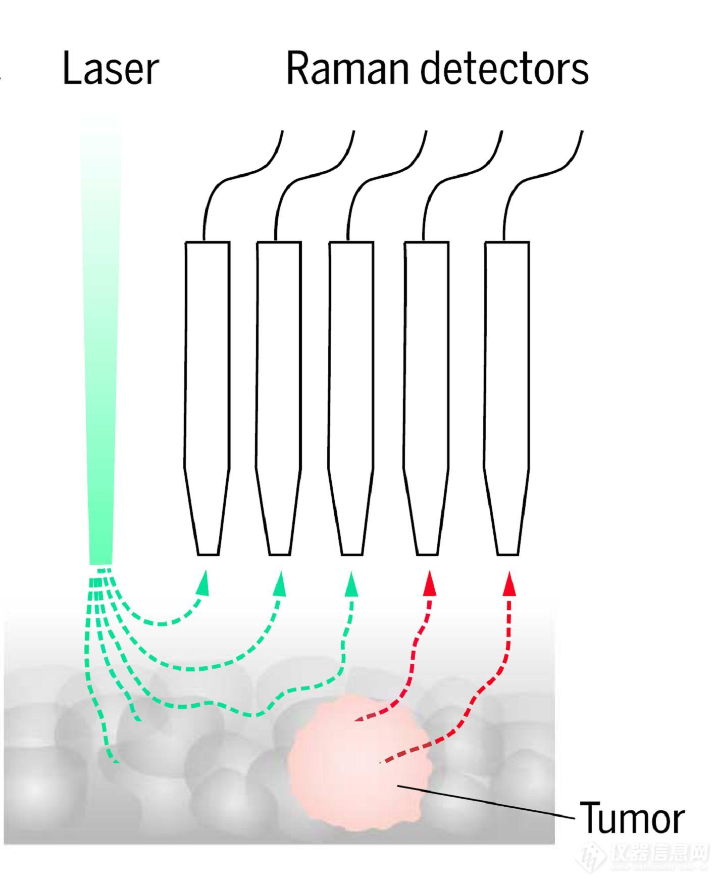 从两句话浅述分子光谱技术的应用进展(图9)