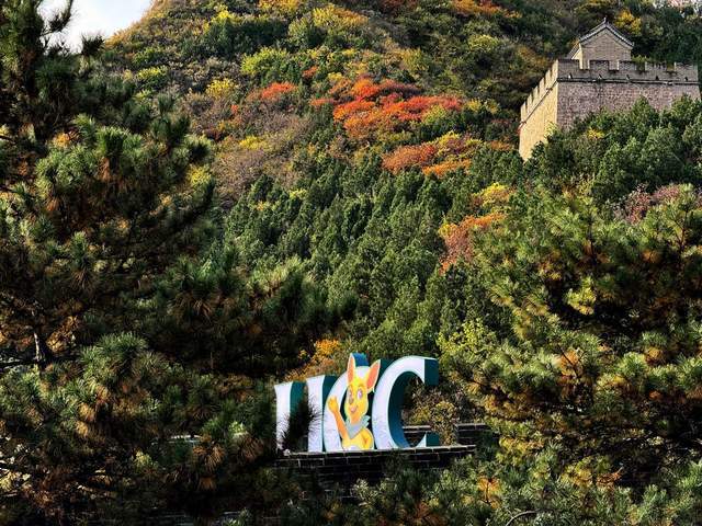 UCC国际洗衣倾力打造民族品牌树立洗衣行业典范