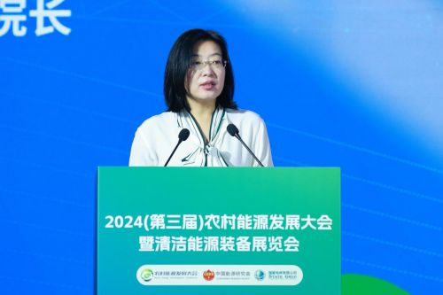 2024（第三届）农村能源发展大会暨清洁能源装备展览会在西安开幕(图18)
