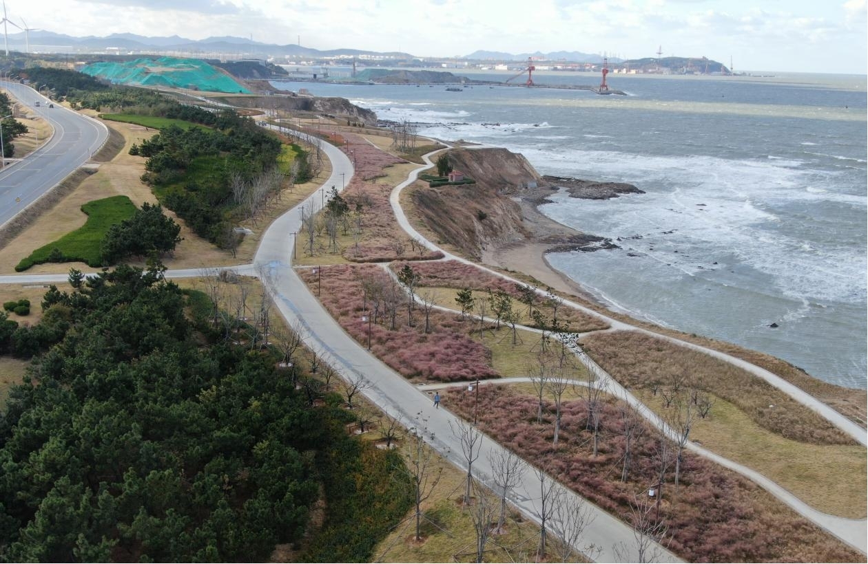 农发行威海市分行：葳蕤三农情 海晏河清美(图2)