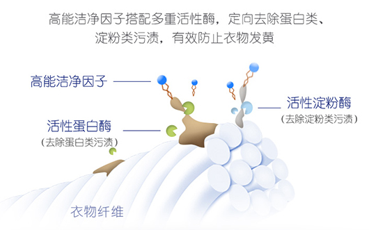 肩负变革使命蓝月亮如何引领新的洗涤未来？(图2)