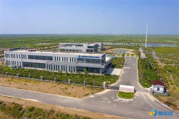 喜看东营发展的“含绿量”——全市重点项目建设现场推进会议札记（上）(图2)