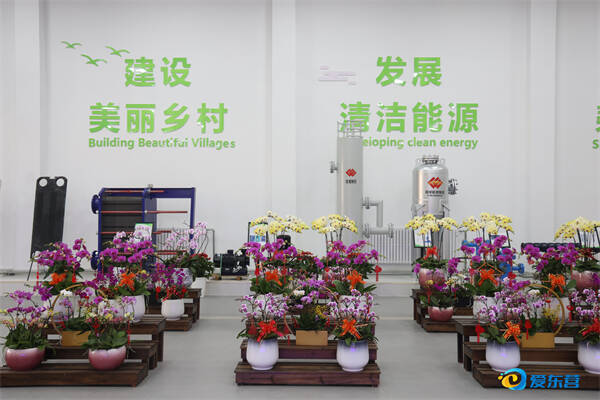喜看东营发展的“含绿量”——全市重点项目建设现场推进会议札记（上）(图6)