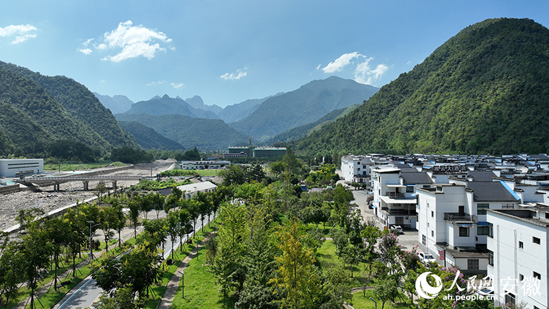 安徽向新丨池州石台：大山添绿 点硒成金(图2)