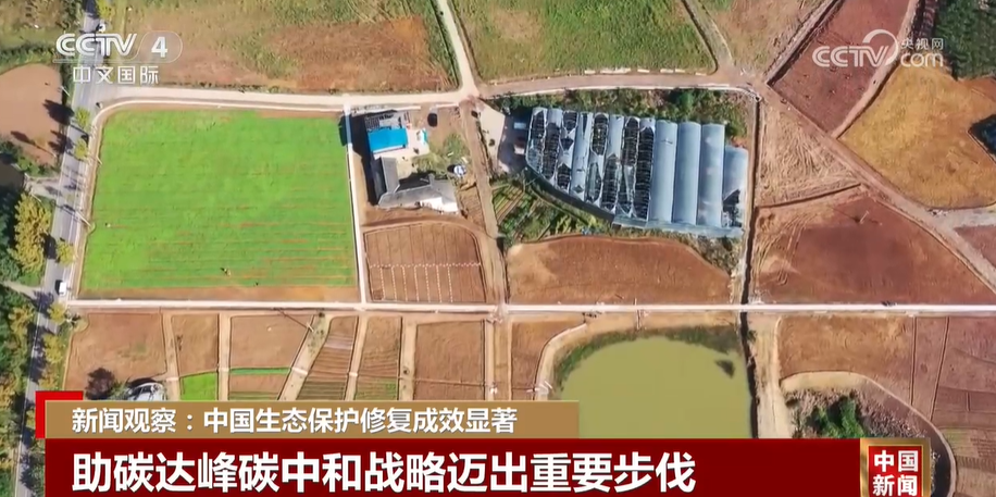 新闻观察：中国生态保护修复成效显著(图2)
