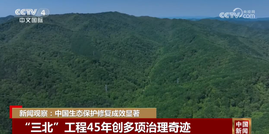 新闻观察：中国生态保护修复成效显著(图3)