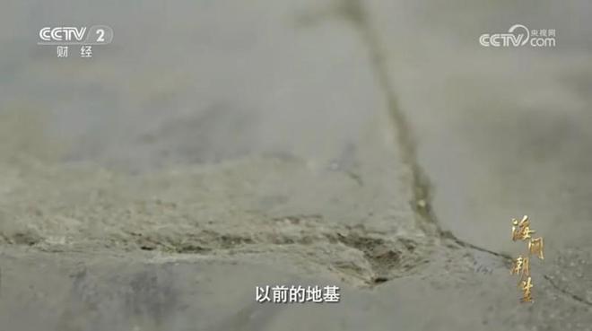 海阔潮生用一部纪录片浓缩中国企业海尔的40年(图3)