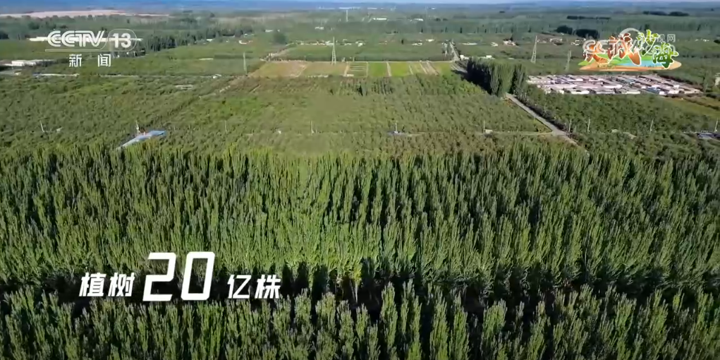 卫星云图看“绿进沙退”巨大变化 “爆改”沙漠书写“绿色传奇”(图8)