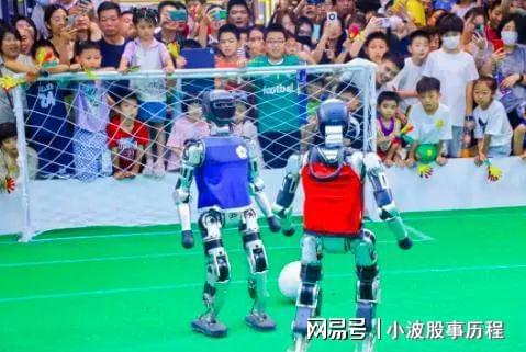 小心人形机器人行业别落得一地鸡毛结局(图3)