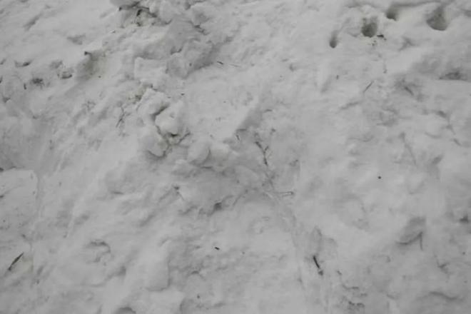 寒潮、大范围雨雪确定权威：降温超14度6省有暴雪降雨也多(图6)