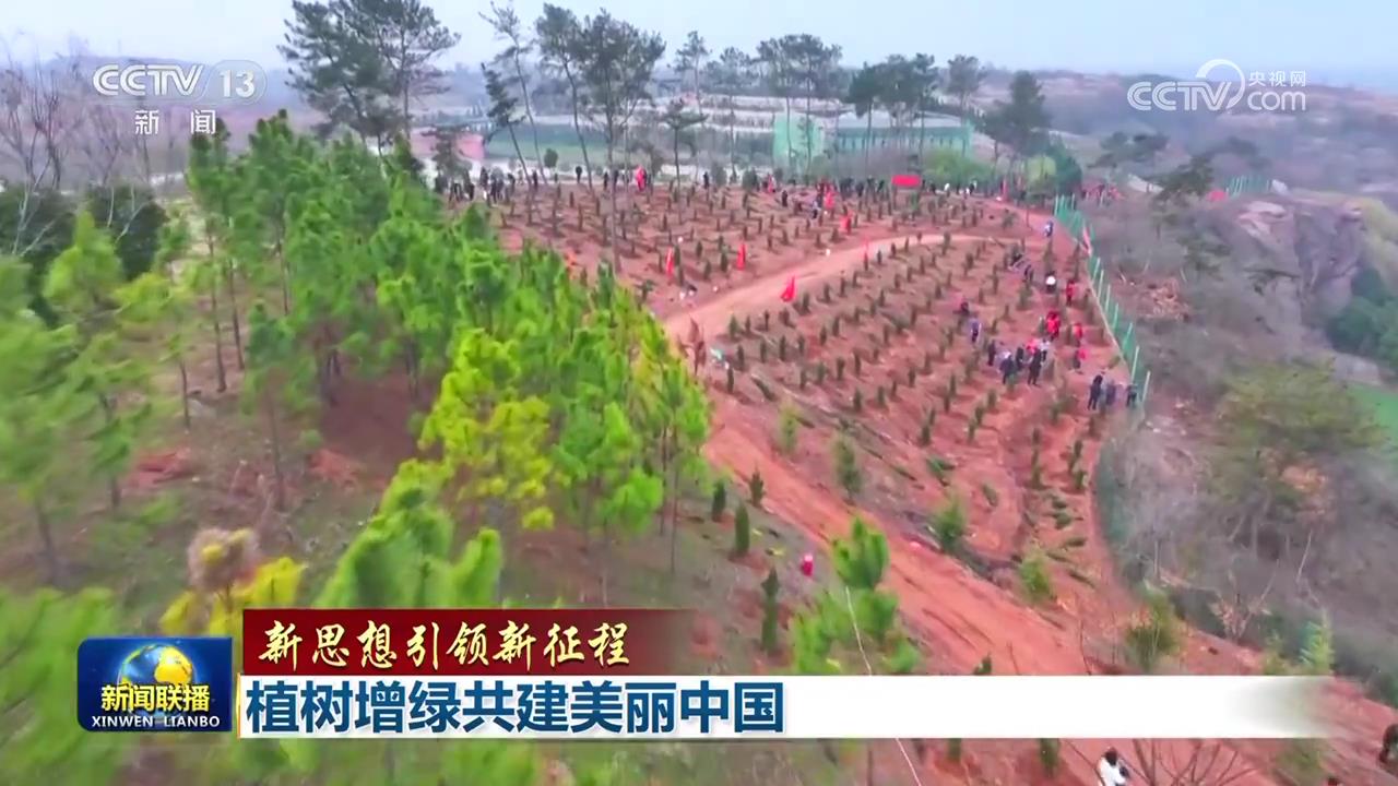 【新思想引领新征程】植树增绿共建美丽中国(图2)