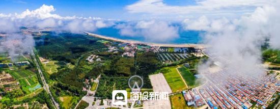日照山海天发展新韵：森林公园的生态保护与文旅新生(图1)