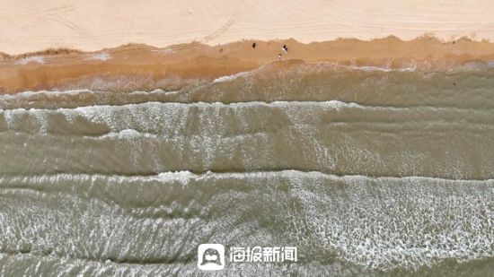 日照山海天发展新韵：森林公园的生态保护与文旅新生(图3)