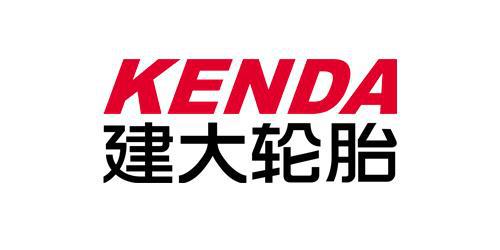 中国轮胎上市公司大起底：正新、赛轮、玲珑、森麒麟、三角、双星(图12)