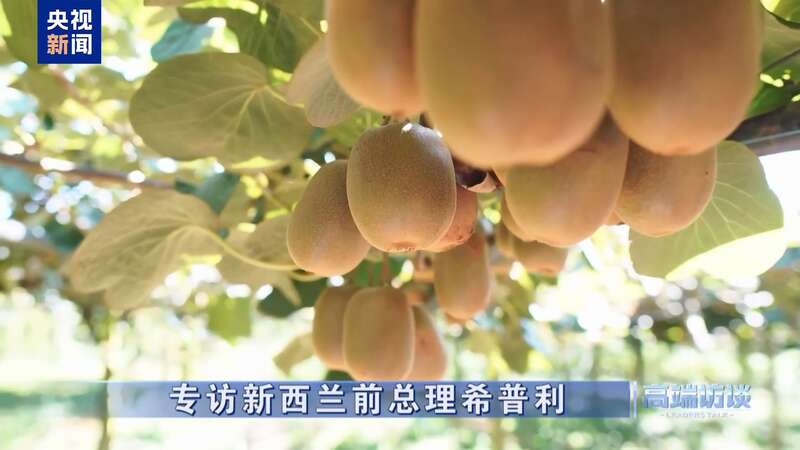 专访新西兰前总理希普利(图16)