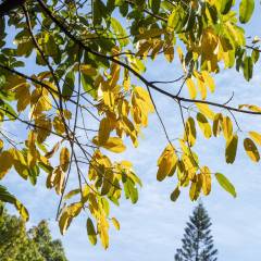 2024年专业干洗设备厂家排名(图4)