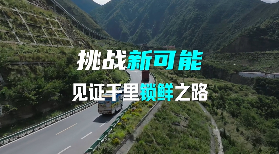 双11：海尔麦浪套系发起5大新挑战打破同质化