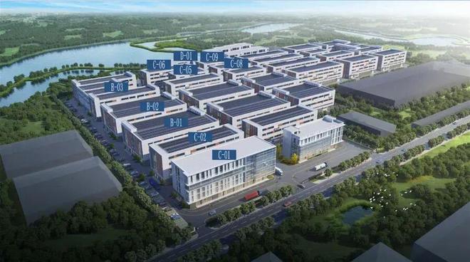 以为小鸭凉了？2025年净利润暴增它早不只是卖洗衣机的了！(图12)