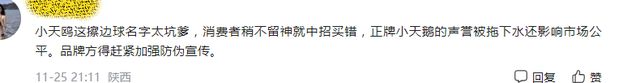 小天鹅严打“小天鸥”！(图4)
