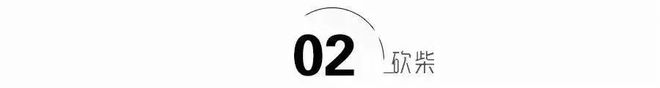 以为小鸭凉了？2025年靠黑科技强势逆袭早不只是卖洗衣机的了！(图3)