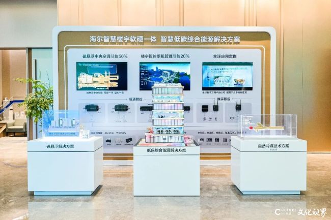 海尔智家打出又一张增长王牌以碳中和锚定发展新未来(图4)