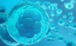 中研网行业资讯_中研普华行业研究网(图17)