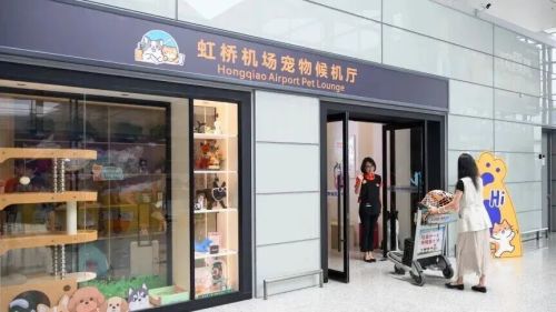 吃喝住行全面升级宠物经济“再进化”(图10)